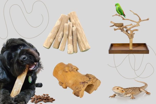 coffee wood pet products