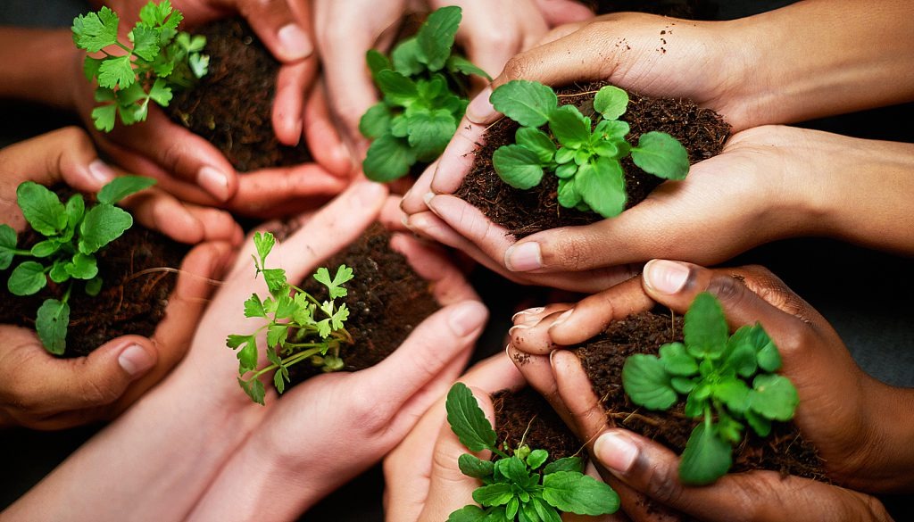 Choosing eco-friendly alternatives supports a healthier planer