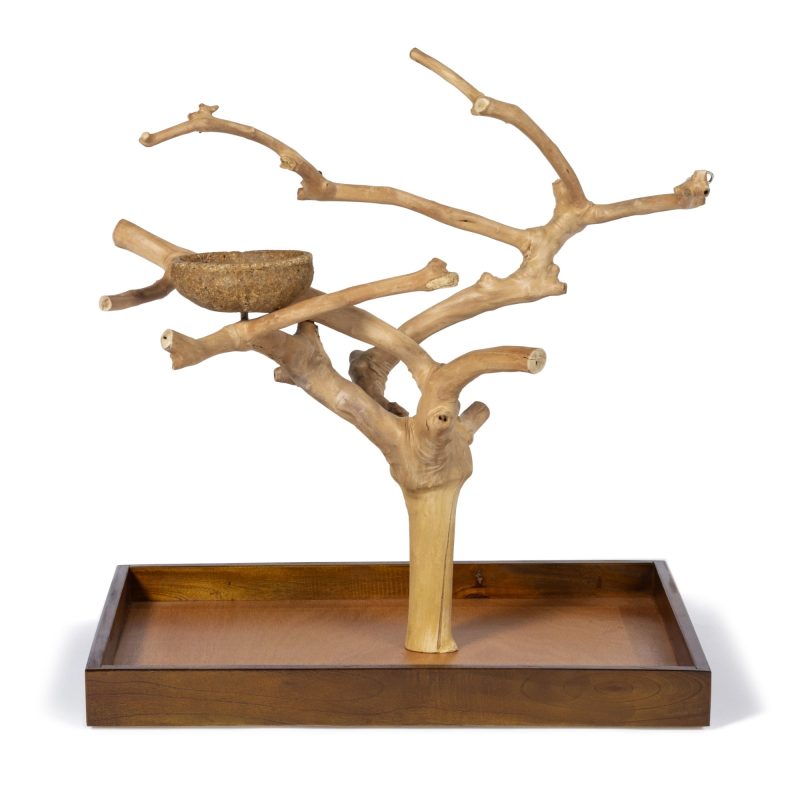 Multi-branch coffee wood bird perch