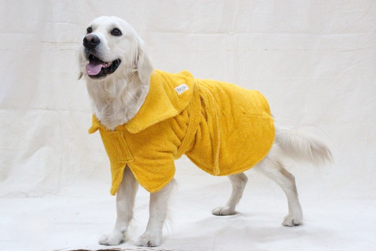 Organic cotton pet clothes