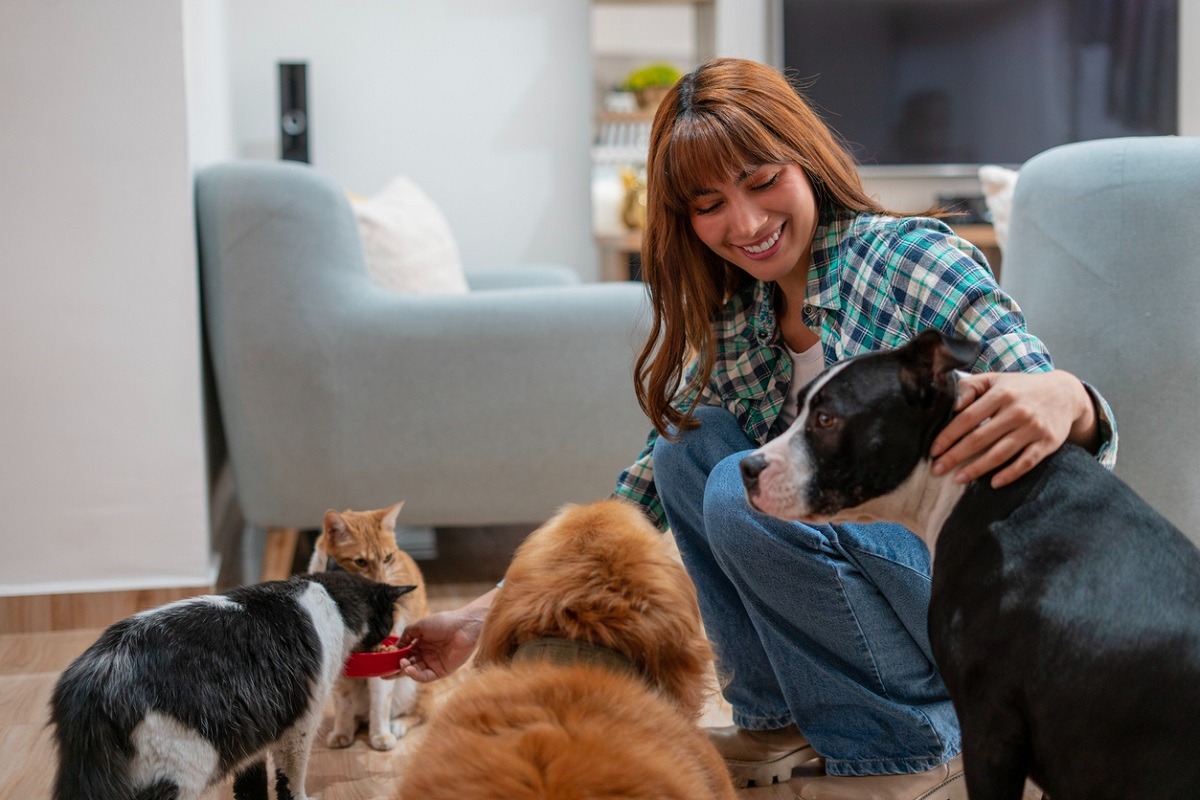 Eco-conscious pet parents are a rising demographic