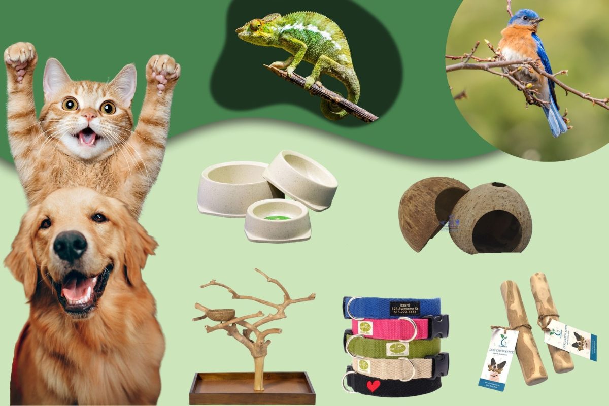 sustainable-pet-products