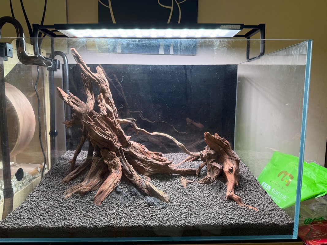 High-quality aquarium driftwood is safe for the aquatic environment