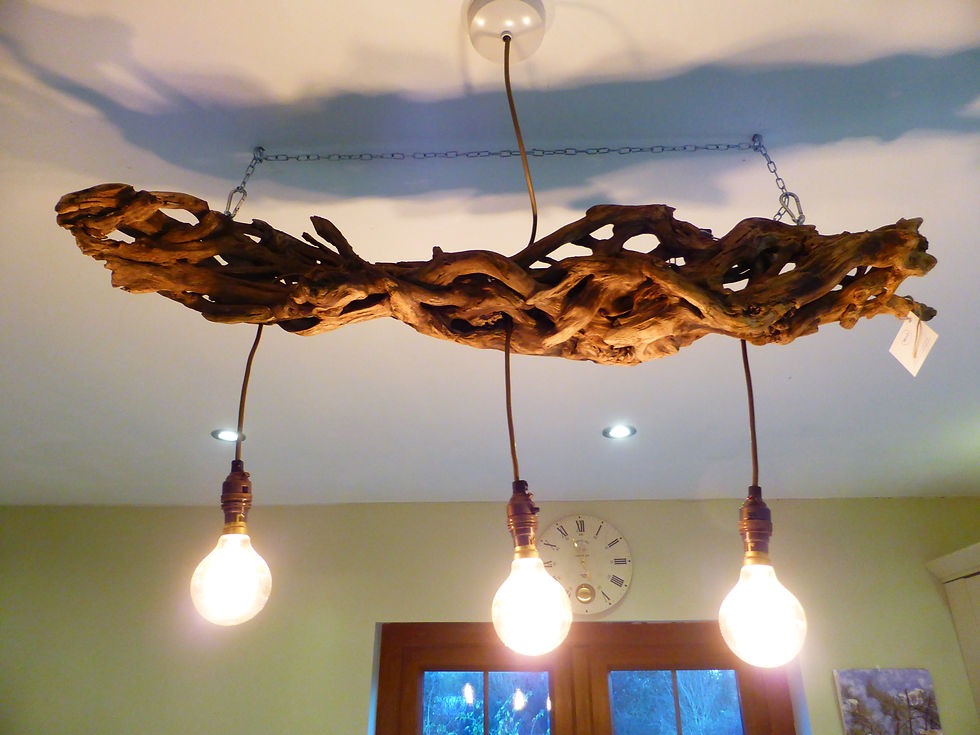 Driftwood pendant lamp