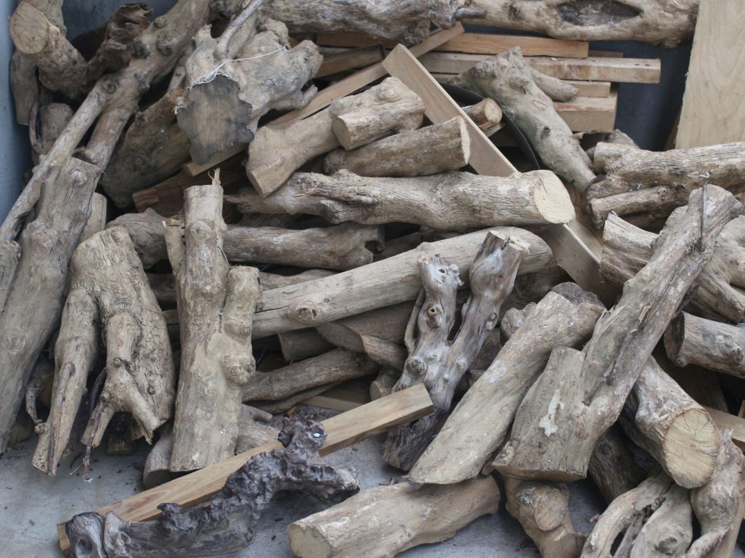 Coffee wood makes great eco-friendly pet toys