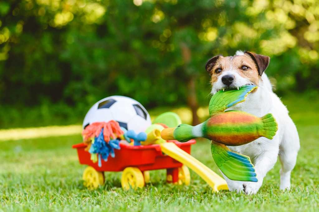 Sustainable pet toys