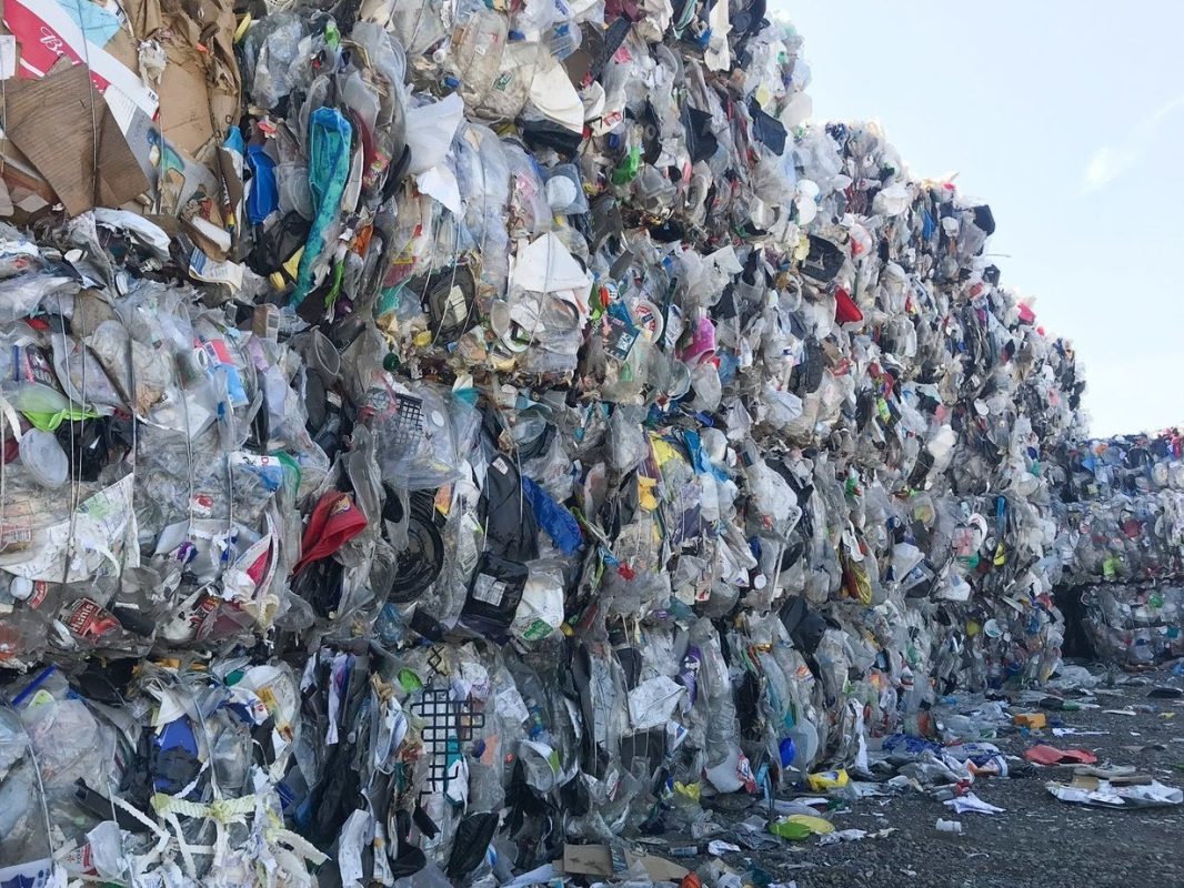Waste and plastic pollution from pet supplies