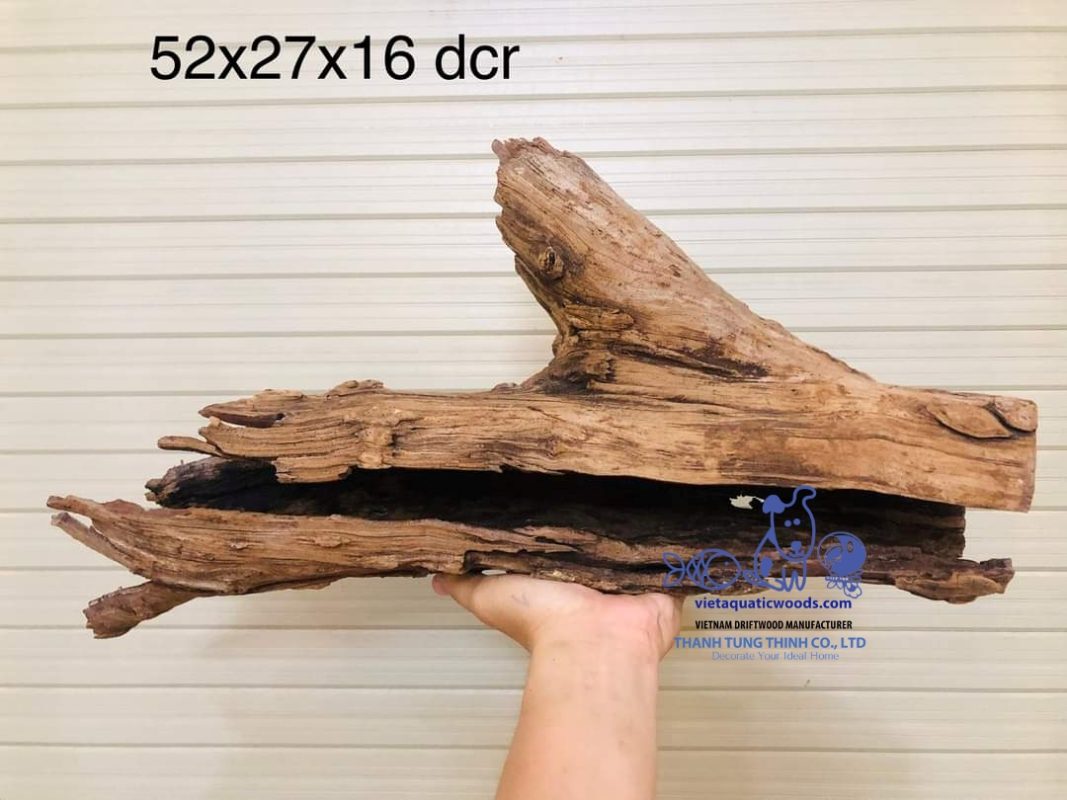 Dragon wood