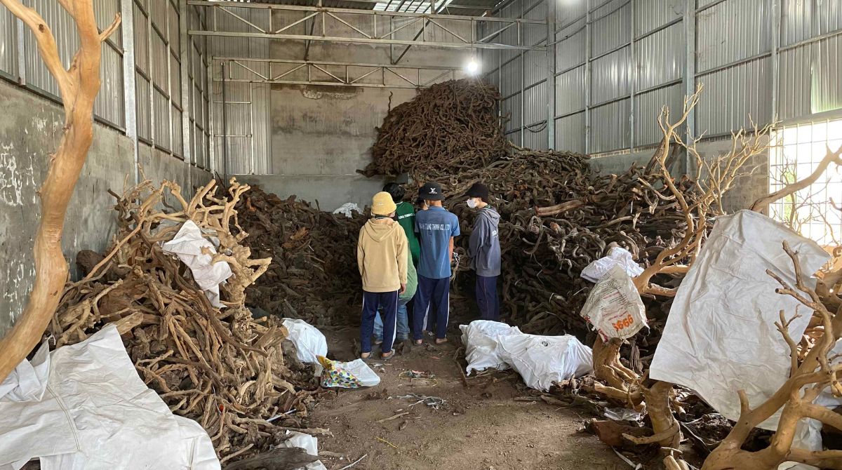 driftwood-manufacturer-viet-nam