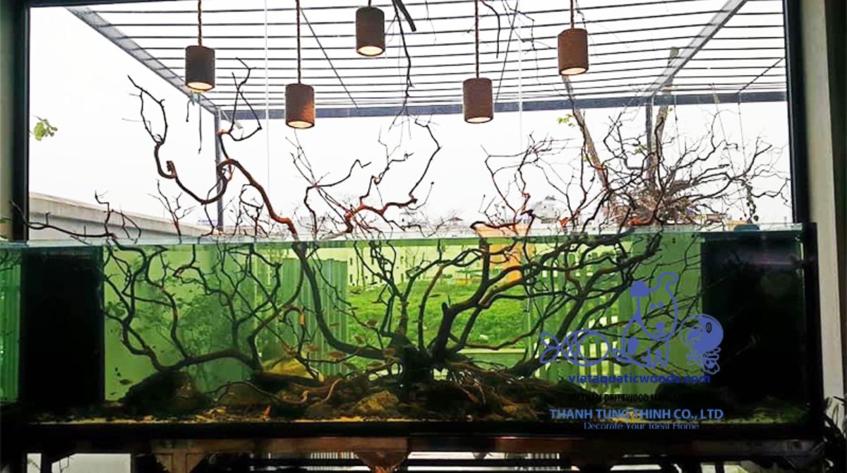 Safe Aquarium Driftwood Wholesale