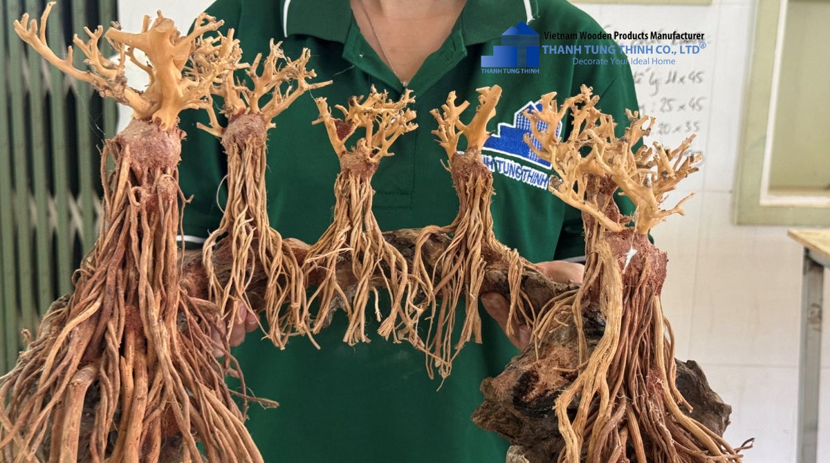 Driftwood Manufacturer Vietnam | Safe Export & Non-Toxic Treatment