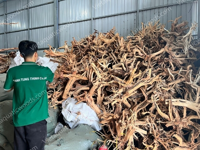 Actual photo collection at the VietAquaticWoods manufacturing factory | 18