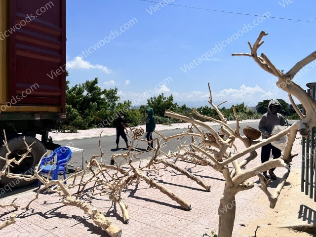 Actual photo collection at the VietAquaticWoods manufacturing factory | 26