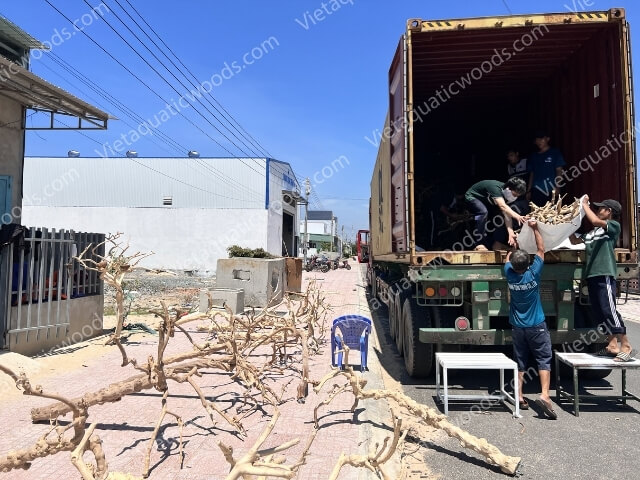 Actual photo collection at the VietAquaticWoods manufacturing factory | 27