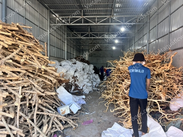 Actual photo collection at the VietAquaticWoods manufacturing factory | 31