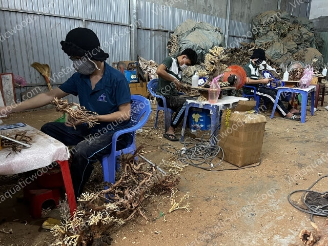 Actual photo collection at the VietAquaticWoods manufacturing factory | 36