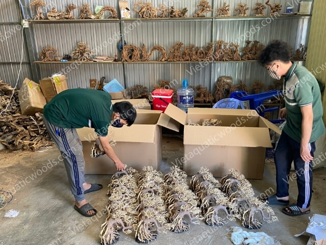 Actual photo collection at the VietAquaticWoods manufacturing factory | 47