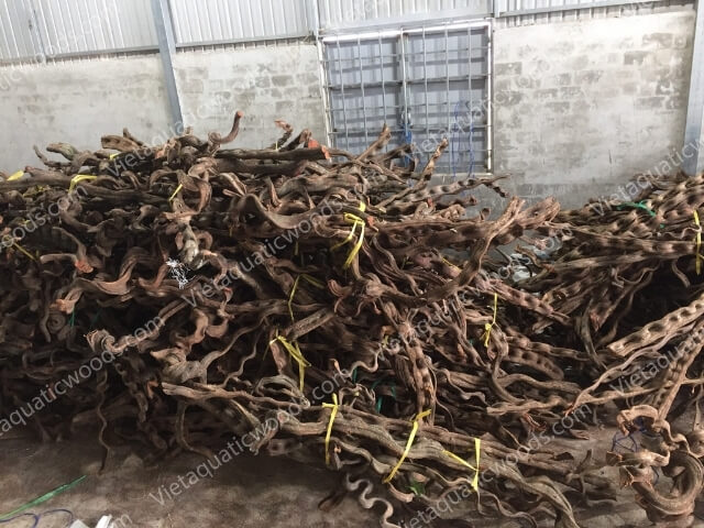 Actual photo collection at the VietAquaticWoods manufacturing factory | 54