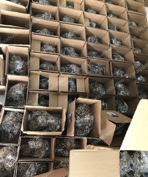 Actual photo collection at the VietAquaticWoods manufacturing factory | 56