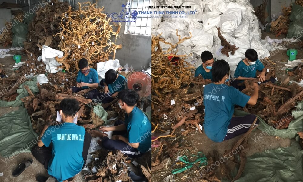 How to Clean Driftwood for Fish Tank: Step-by-Step Aquarium Guide | 25