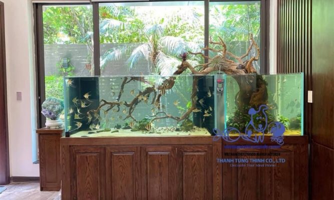 How to Place Driftwood in Fish Tank: Step-by-Step Guide for Natural & Stable Aquascaping | 02