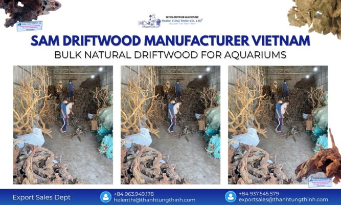 Sam driftwood manufacturer from Vietnam for bulk aquarium pet supply and home decor wholesale buyers