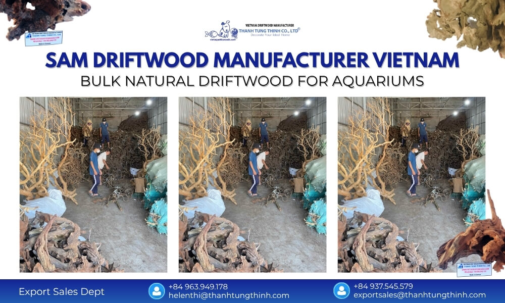 Sam driftwood manufacturer from Vietnam for bulk aquarium pet supply and home decor wholesale buyers