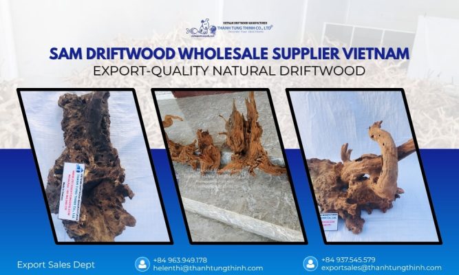 Vietnam wholesale driftwood for export