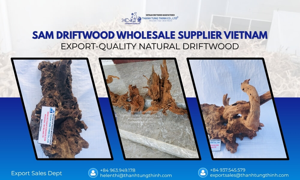 Vietnam wholesale driftwood for export