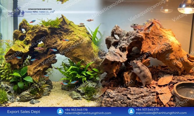 100% Natural Sam Driftwood Wholesale Supplier for Pet and Aquarium Industry