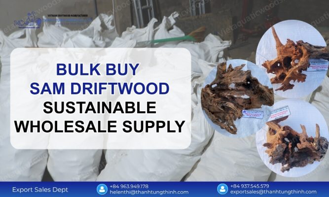 Bulk Buy Sam Driftwood – Sustainable Wholesale Supply