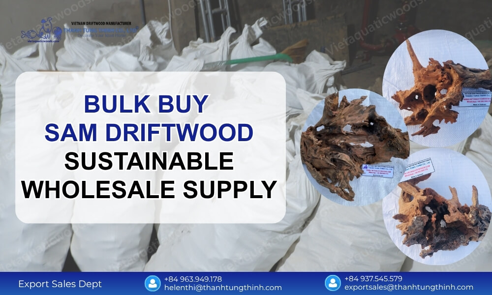 Bulk Buy Sam Driftwood – Sustainable Wholesale Supply