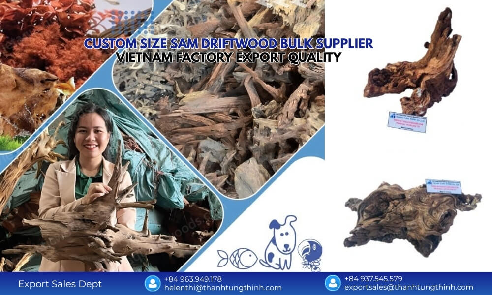 Custom Size Sam Driftwood Bulk Supplier: Vietnam Factory Export Quality