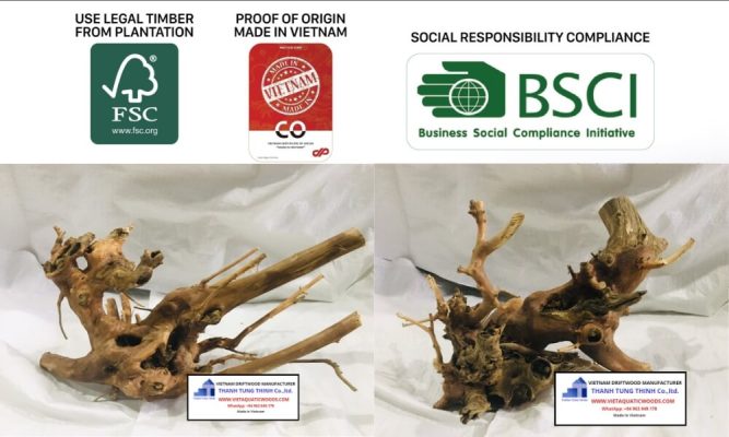 Eliminating Defect Risks via a Certified Kimchi Driftwood Wholesale Supplier