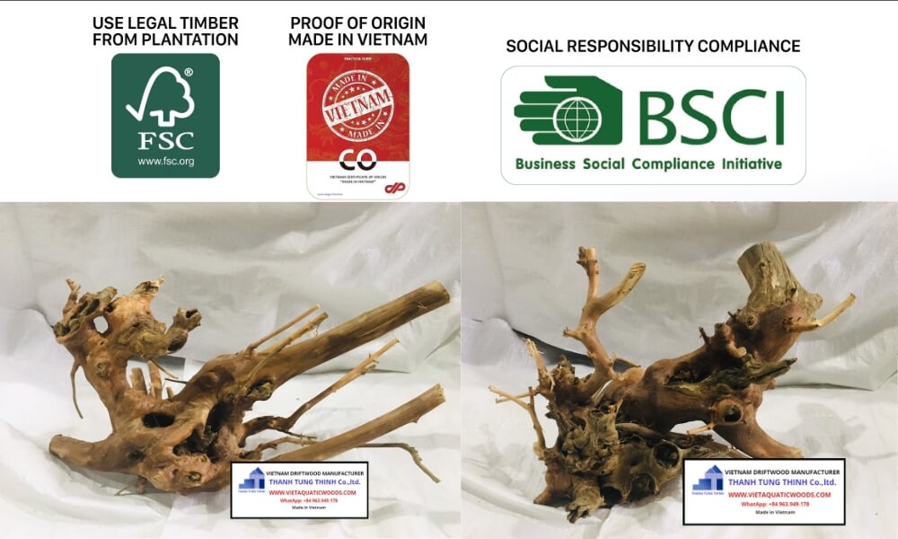 Eliminating Defect Risks via a Certified Kimchi Driftwood Wholesale Supplier