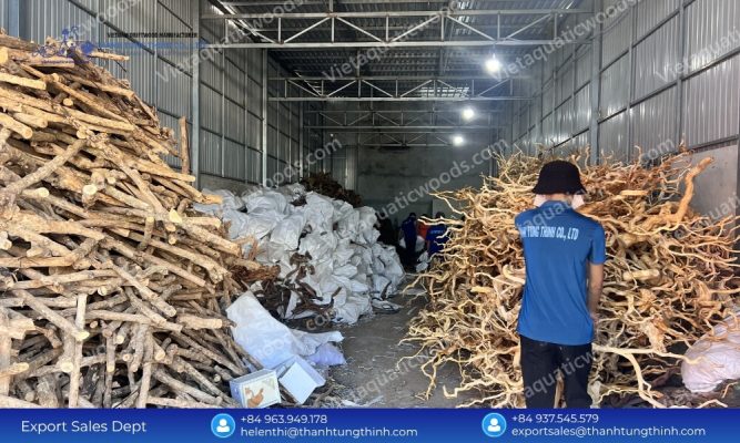 Factory Tour: Inside a World-Class Kimchi Driftwood Manufacturer