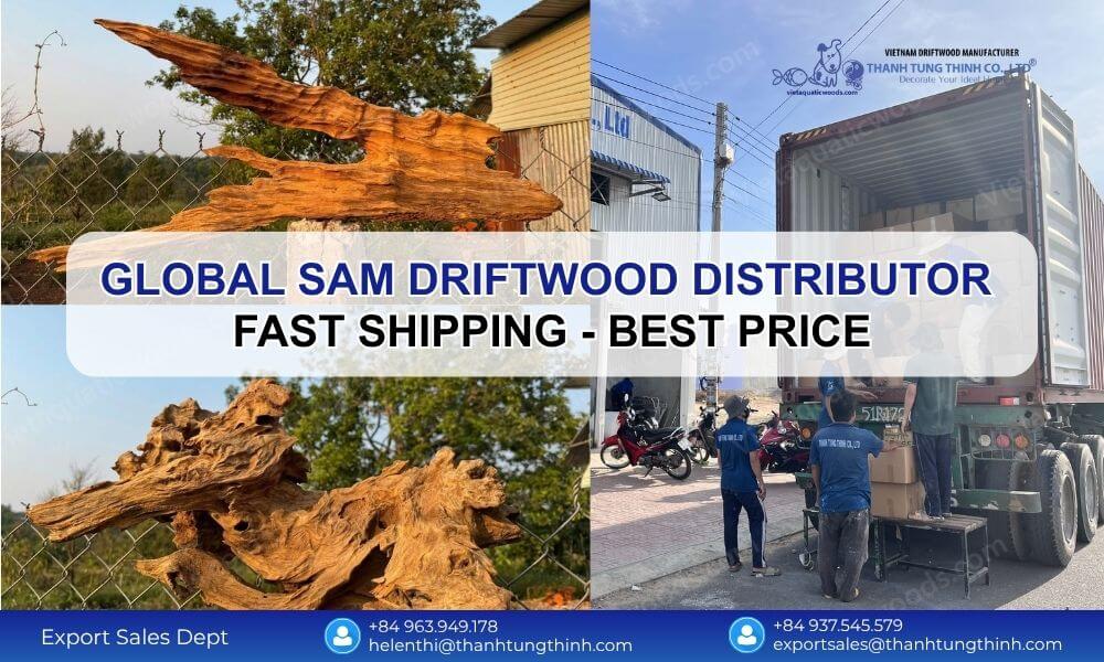 Global Sam Driftwood Distributor - Fast Shipping Best Price