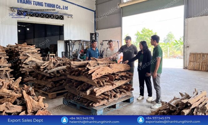 How to Choose the Right Sam Driftwood Bulk Supplier