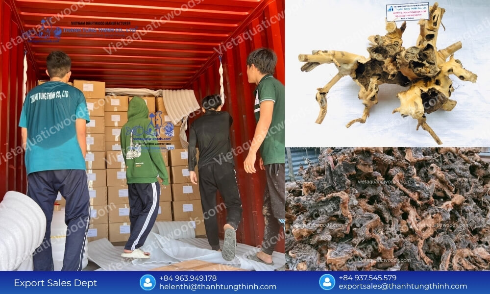 Kimchi Driftwood Distributor: Factory-Direct Inventory Supply