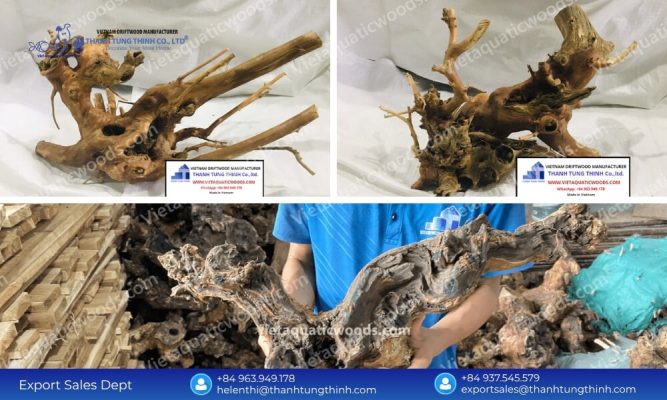Kimchi Driftwood Import from Vietnam: Best Wholesale Volume Rates