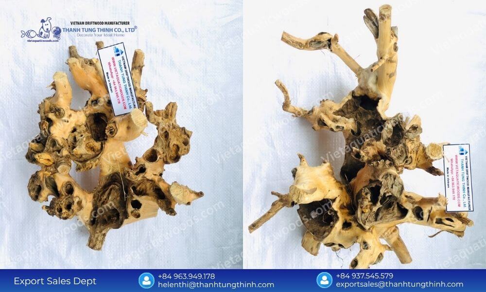 Maximize B2B Profits with a Factory Direct Kimchi Driftwood Exporter from Vietnam