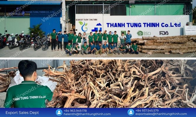 Meeting Peak Demand: Choosing a High-Capacity Kimchi Driftwood Supplier