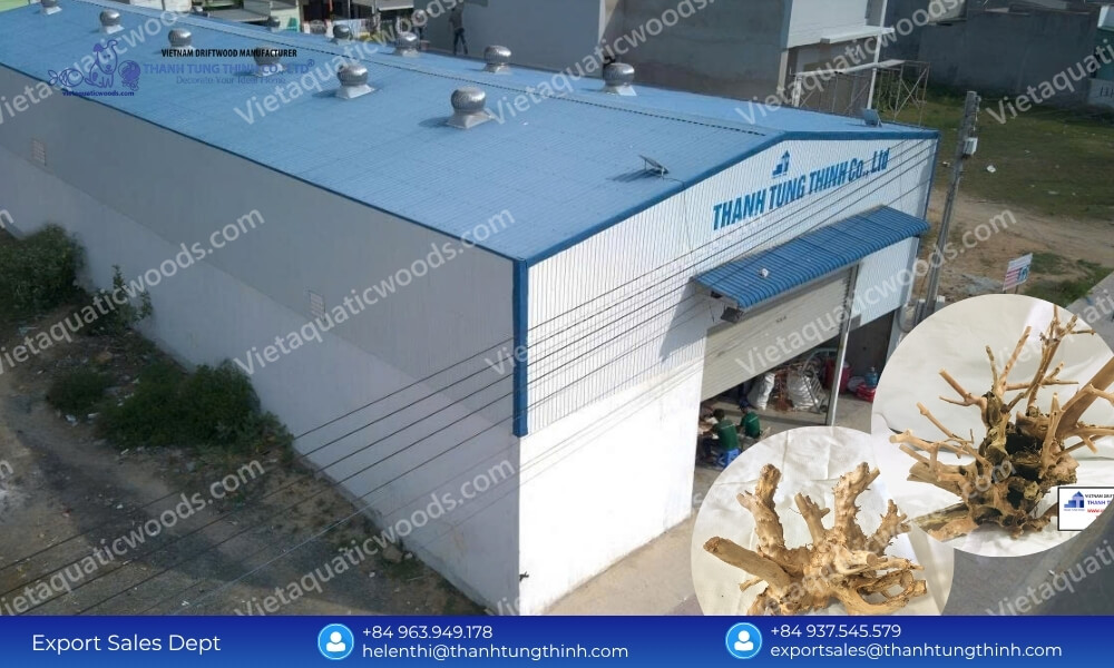 Premium Kimchi Driftwood OEM Manufacturer: Full Turnkey B2B Services