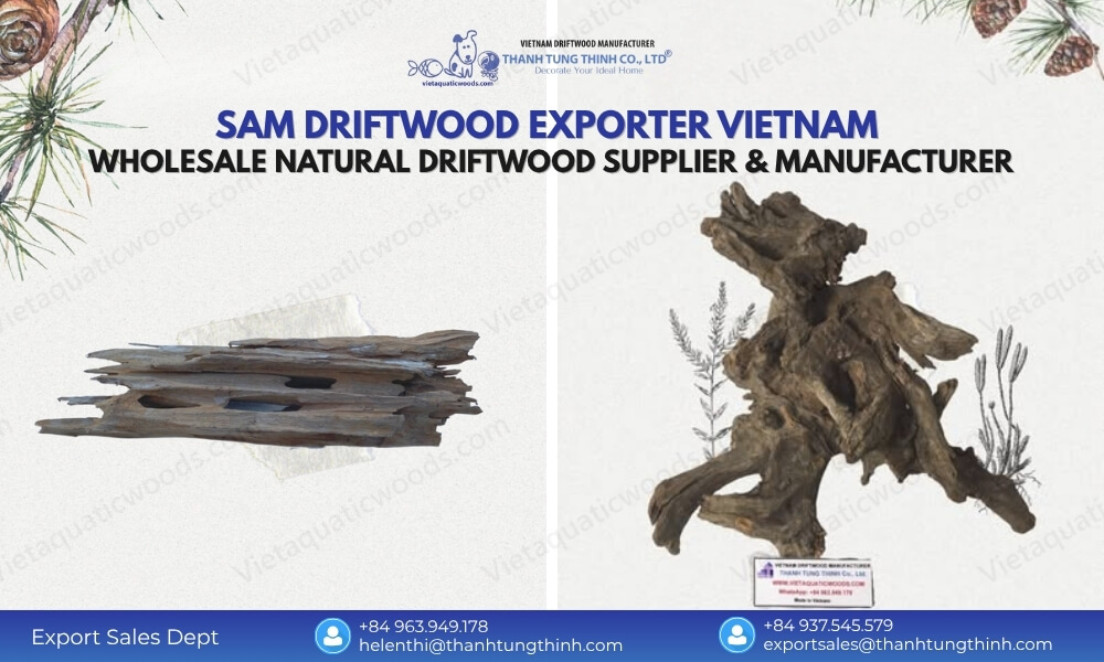 Close-up of Sam driftwood texture and density