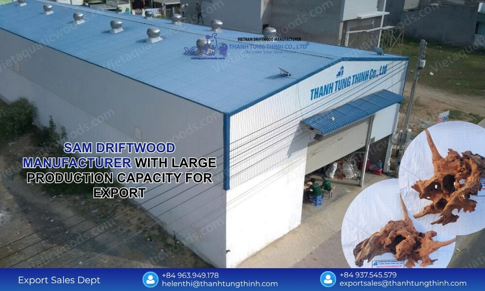 Sam Driftwood Manufacturer with Large Production Capacity for Export