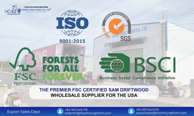The Premier FSC Certified Sam Driftwood Wholesale Supplier for the USA