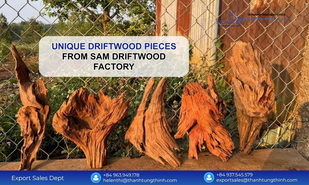 Unique Driftwood Pieces from Sam Driftwood Factory