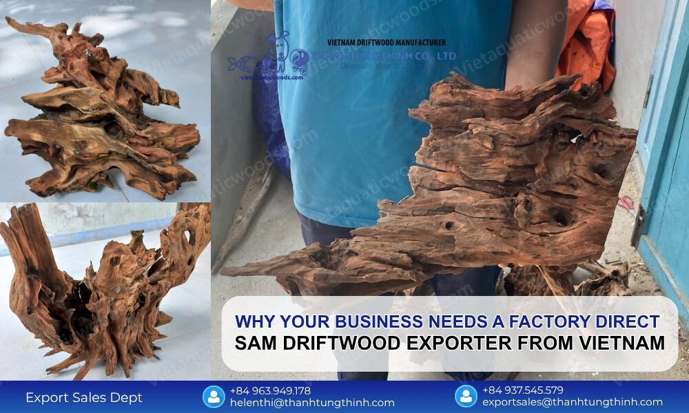 Why Your Business Needs a Factory Direct Sam Driftwood Exporter from Vietnam