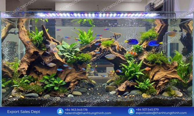 Best Sam Driftwood Wholesale Supplier for Aquariums