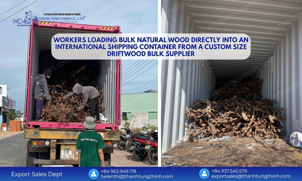 custom size sam driftwood bulk supplier container loading 1